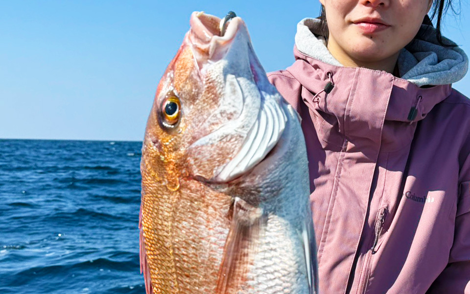 85.5cmの超特大真鯛降臨！玄界灘タイラバで大鯛ラッシュ【乗っ込み開幕