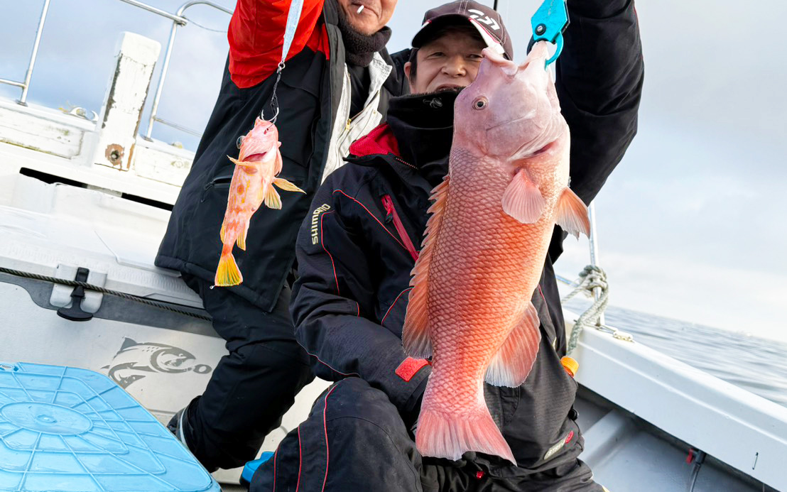 鳥だらけの海！しかし真鯛は沈黙