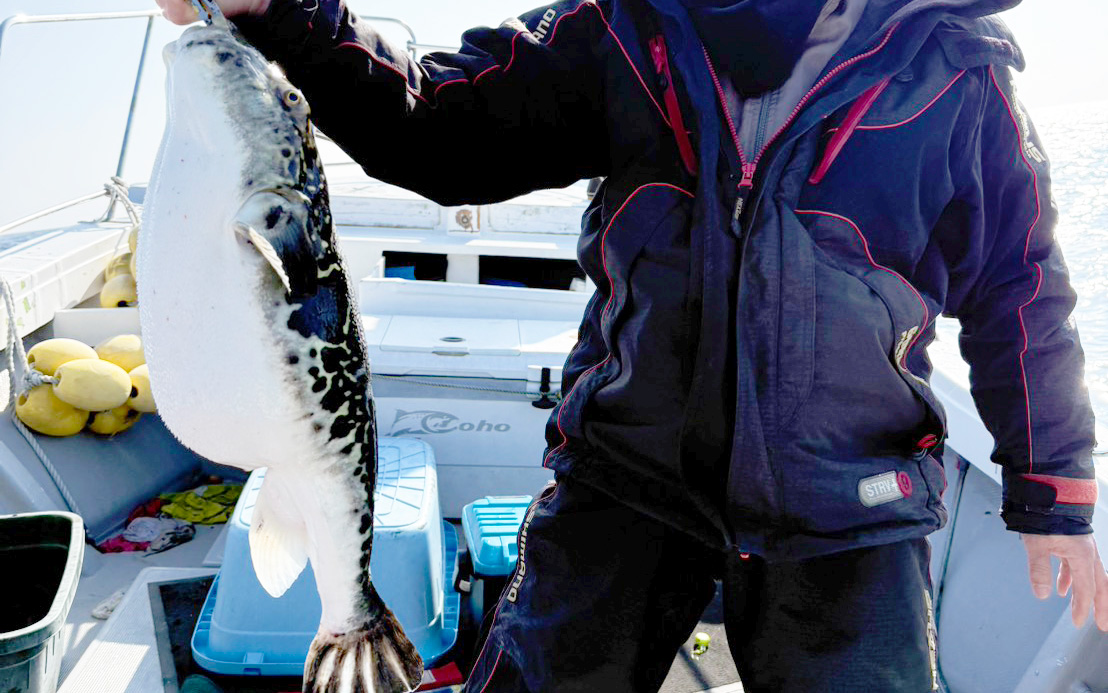 最後に珍客が登場