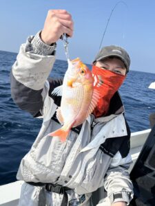 ブリ不在でタイラバへ！良型トラフグ＆根魚でお土産確保