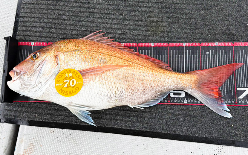 思い切った大移動が的中！SLJで73cmの巨大真鯛をゲット