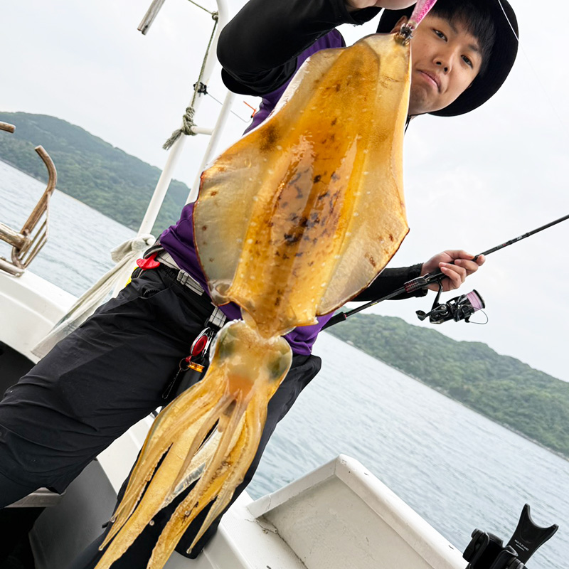 福岡・糸島周辺の湾内エギングで、アオリイカ好釣!