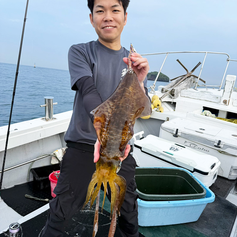 福岡・糸島周辺の湾内エギングで、アオリイカ好釣!