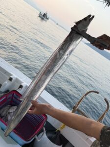 渋い状況で小学生がファーストヒット！初挑戦のお父さん達も奮闘の博多湾タチウオ