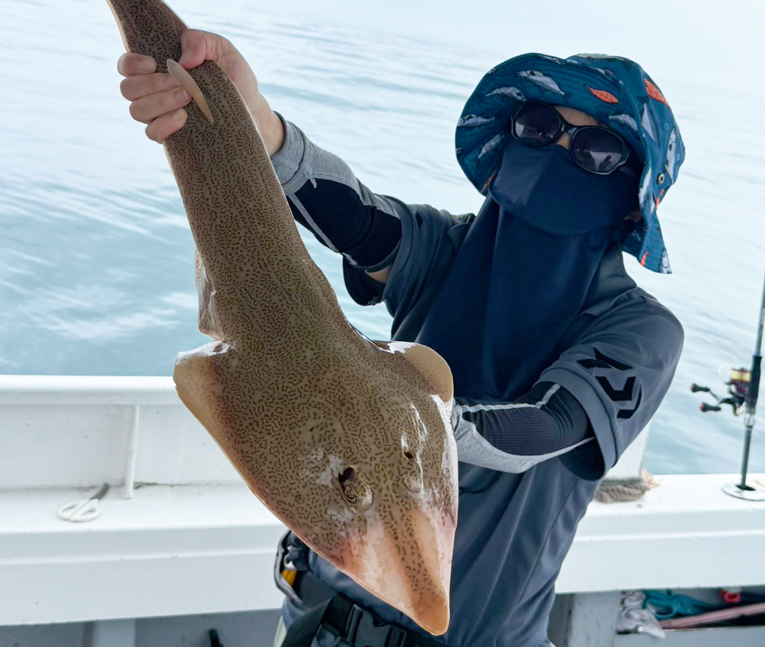 良型真鯛から始まり、多彩な魚種が連続