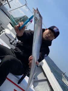 博多湾タチウオ釣り、良型55本！