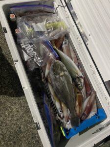 爆釣の玄界灘夜焚きイカ釣り！今シーズン初の3桁釣果