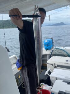 夏の博多湾で太刀魚釣り！F4サイズを頭に数釣りを楽しむ