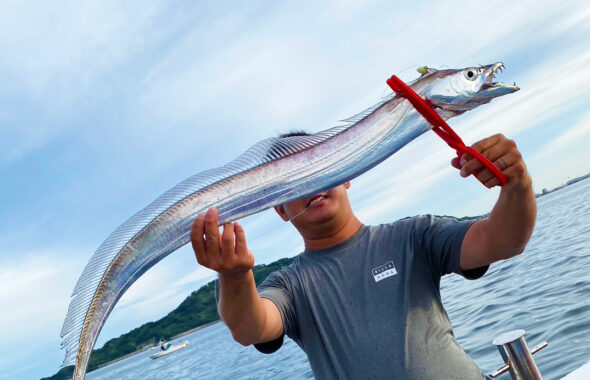 博多湾タチウオ釣り！F4.5がレギュラーサイズ