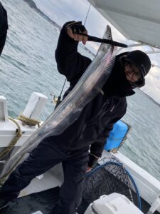 寒波で渋い博多湾タチウオ釣り！なんとか2桁達成