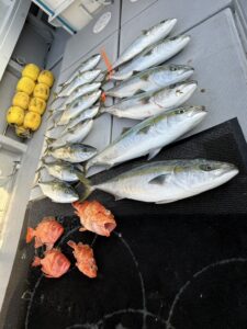 七里ヶ曽根＆対馬で全員安打！6kgヒットも渋い展開