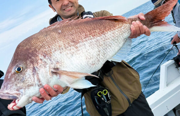 GWの近海タイラバで、鵃レコード更新の真鯛86cm！