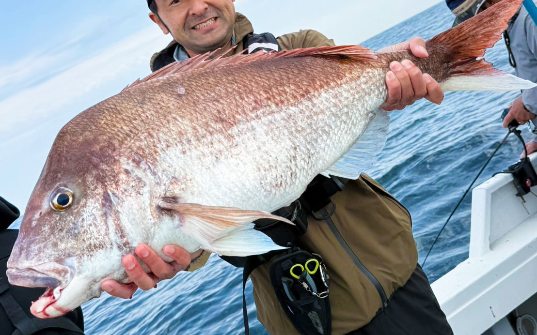 GWの近海タイラバで、鵃レコード更新の真鯛86cm!