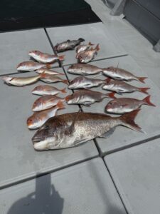 GWの近海タイラバで、鵃レコード更新の真鯛86cm！