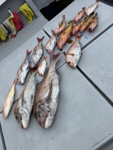 GW最終日、玄界灘タイラバで、83cm・74cmの巨大真鯛！