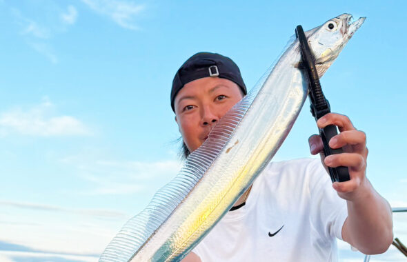 夏の博多湾タチウオ釣り開幕、朝イチにF4サイズ