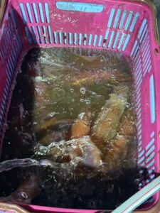 良型多め！ダブルヒット連発の夜焚きイカ釣り
