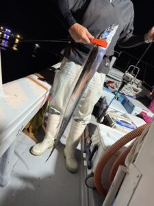 F5サイズの良型が中心、潮止まり後は厳しい展開もあり