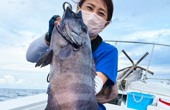 強烈な当たりが楽しめる！コロダイ・石鯛・真鯛と多彩な釣果