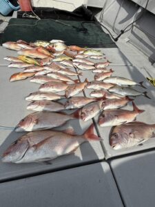 コツを掴んで真鯛ヒット！ゲスト多彩な「ひとつテンヤ」釣行