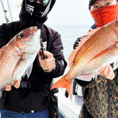 短時間で連発モード突入！潮変わりを捉えたタイラバ攻略【GW予約受付中】