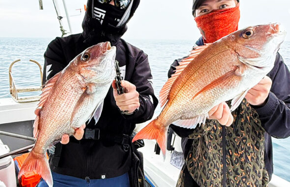 短時間で連発モード突入！潮変わりを捉えたタイラバ攻略【GW予約受付中】