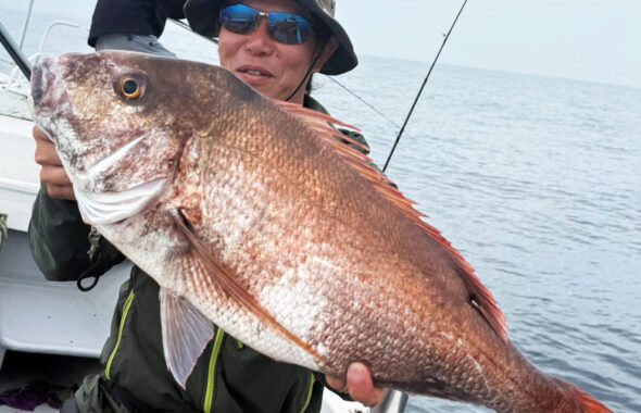 真鯛の当たりが絶えない！最後は60cmオーバーを連続キャッチ