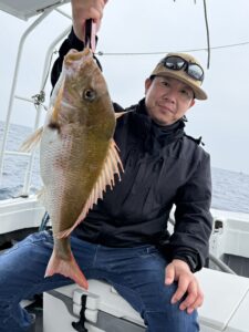 73cmの大鯛！潮が効き出し良型マダイ連発のタイラバ【乗っ込み継続中】