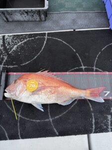 短時間で連発モード突入！潮変わりを捉えたタイラバ攻略【GW予約受付中】