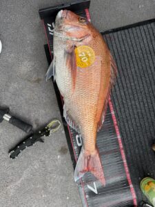 短時間で連発モード突入！潮変わりを捉えたタイラバ攻略【GW予約受付中】