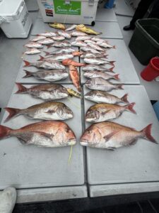 短時間で連発モード突入！潮変わりを捉えたタイラバ攻略【GW予約受付中】