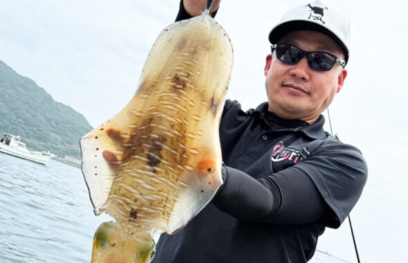 福岡・糸島湾内ボートエギングで2.4kgの巨大アオリイカ！