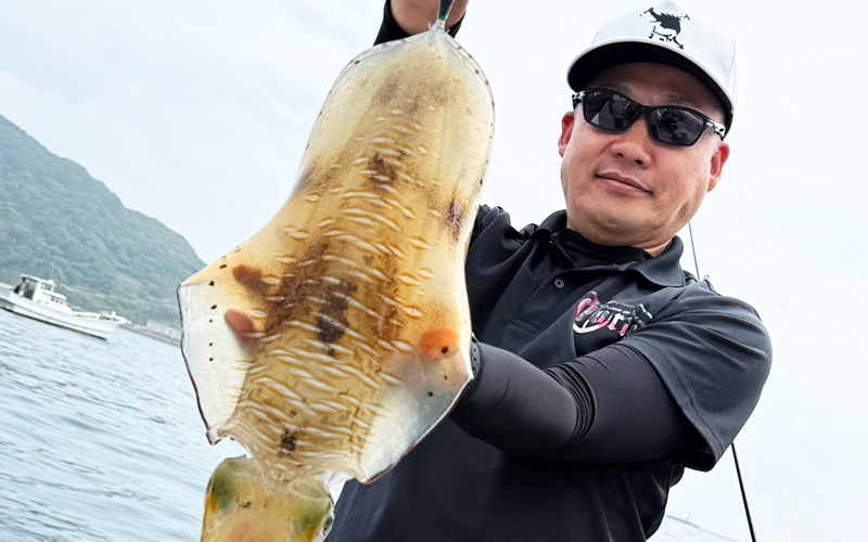 福岡・糸島湾内ボートエギングで2.4kgの巨大アオリイカ！