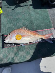 GW最終日のタイラバ！78cm真鯛に75cmの巨大ヒラメも登場！