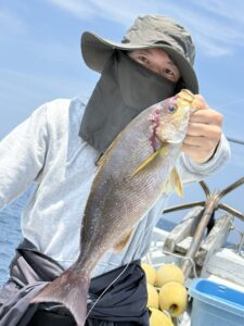 玄界灘のSLJで良型イサキ!渋い時間を乗り越えポツポツ好ヒット