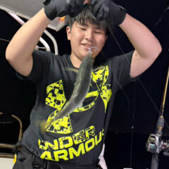 夜のバチコンアジングで、ギガアジ50匹超えクーラー満タン！