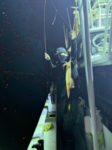 今期初の3桁達成!パラソルサイズ爆乗りの夜焚きイカ釣り
