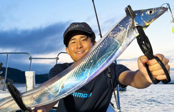 朝からアタリ連発！ドラゴン級の良型続々の博多湾タチウオ釣り
