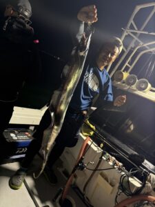 前日の渋さを吹き飛ばすアタリ連発！パターンを掴んで良型連発の博多湾タチウオ
