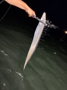 前日の渋さを吹き飛ばすアタリ連発！パターンを掴んで良型連発の博多湾タチウオ
