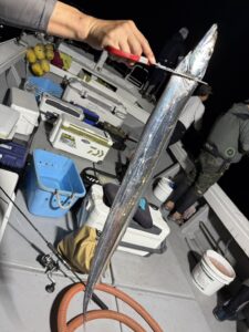 潮変わりから移動を重ねて拾い釣り！初挑戦でF6サイズ出現の博多湾タチウオ