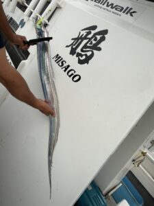 潮変わりから移動を重ねて拾い釣り！初挑戦でF6サイズ出現の博多湾タチウオ