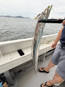 潮変わりから移動を重ねて拾い釣り！初挑戦でF6サイズ出現の博多湾タチウオ