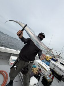 潮変わりから移動を重ねて拾い釣り！初挑戦でF6サイズ出現の博多湾タチウオ