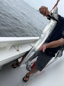 潮変わりから移動を重ねて拾い釣り！初挑戦でF6サイズ出現の博多湾タチウオ