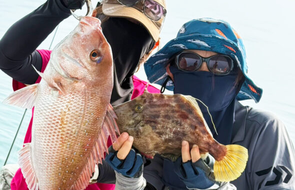 凪の海況で60cm良型真鯛からスタート。アコウやネリゴなど多彩な釣果