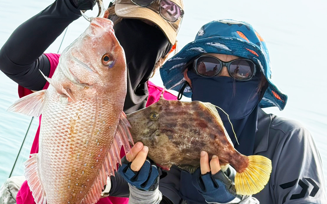 凪の海況で60cm良型真鯛からスタート。アコウやネリゴなど多彩な釣果