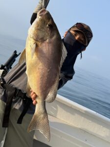 凪の海況で60cm良型真鯛からスタート。アコウやネリゴなど多彩な釣果