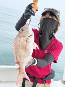 凪の海況で60cm良型真鯛からスタート。アコウやネリゴなど多彩な釣果