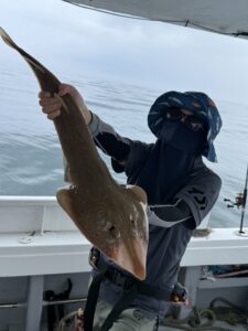 凪の海況で60cm良型真鯛からスタート。アコウやネリゴなど多彩な釣果